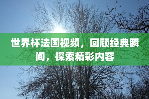 世界杯法国视频，回顾经典瞬间，探索精彩内容丹东日丰电子有限公司