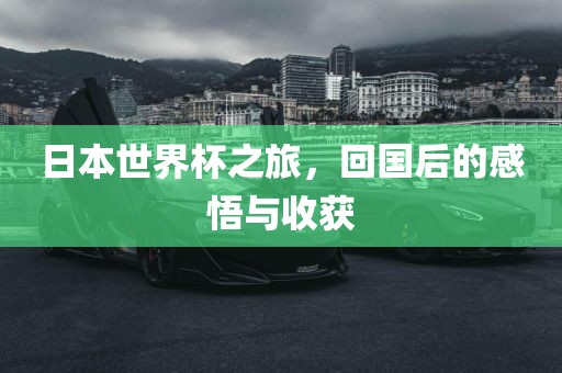 日本世界杯之旅，回国后的感悟与收获丹东日丰电子有限公司