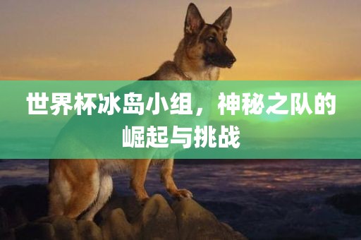 世界杯冰岛小组，神秘之队的崛起与挑战丹东日丰电子有限公司