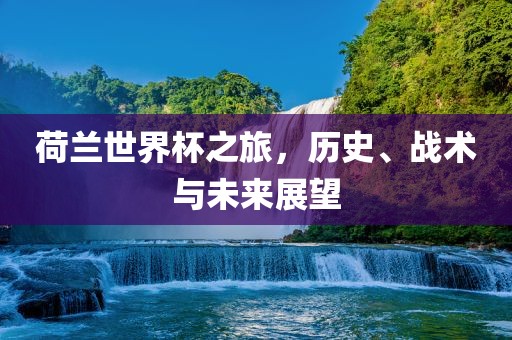 荷兰世界杯之旅，历史、战术与未来展望丹东日丰电子有限公司