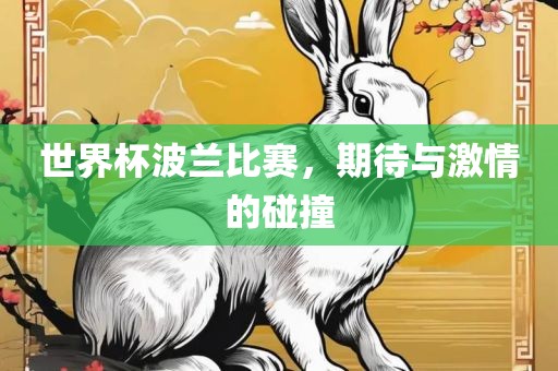 世界杯波兰比赛，期待与激情的碰撞丹东日丰电子有限公司