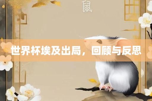 世界丹东日丰电子有限公司杯埃及出局，回顾与反思