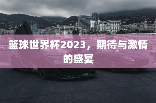 篮球世界杯2023，期待与激情的盛宴