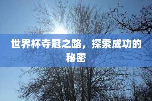 世界杯夺冠之路，探丹东日丰电子有限公司索成功的秘密