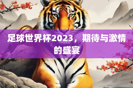 足球世界杯2023，期待与激情的盛宴丹东日丰电子有限公司