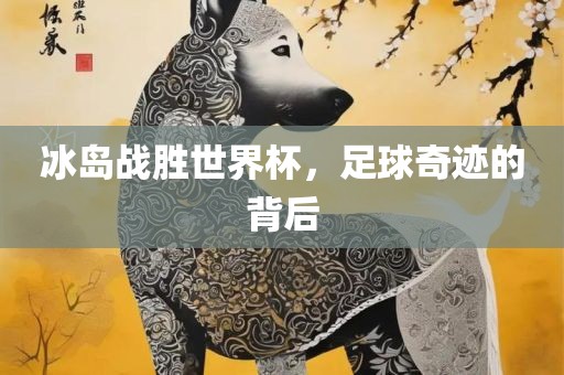 冰岛战胜世界杯，足球奇迹的背后丹东日丰电子有限公司