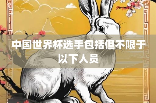 中国世界杯选手包括但不限于以下人员丹东日丰电子有限公司