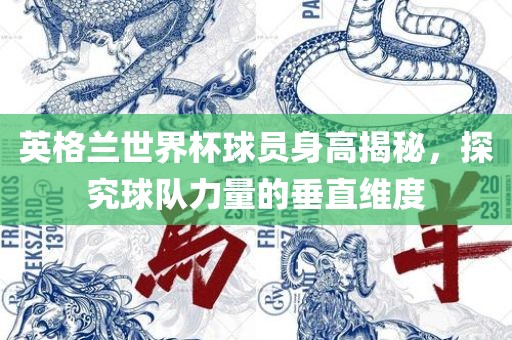 英格兰世界杯球员身高揭秘，探究球队力量的垂直维度丹东日丰电子有限公司
