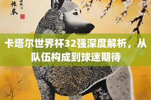 卡塔尔世界杯32强深度解析，从队伍构成到球迷期待