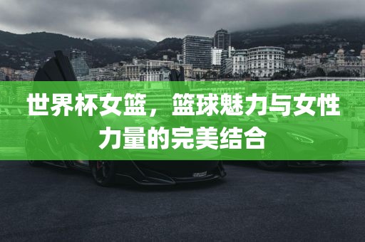 世界杯女篮，篮球魅力与女性力量的完美结合丹东日丰电子有限公司