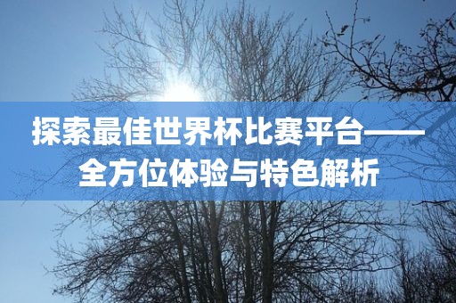 探索最佳世界杯比赛平台——全方位体验与特色解析丹东日丰电子有限公司