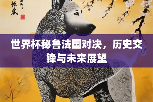 世界杯秘鲁法国对决，历史交锋与未来展望丹东日丰电子有限公司