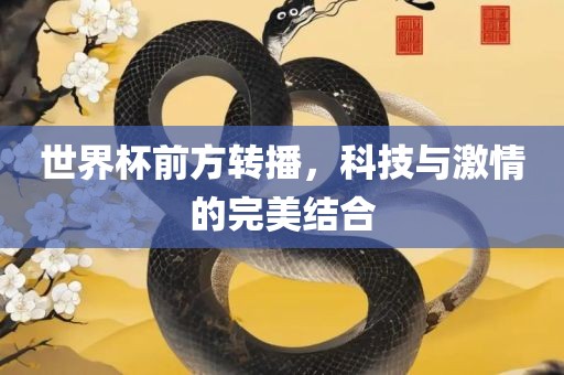 世界杯前丹东日丰电子有限公司方转播，科技与激情的完美结合