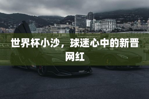世界杯小沙，球迷心中丹东日丰电子有限公司的新晋网红