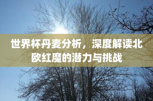 世界杯丹麦分析，深度解读北欧红丹东日丰电子有限公司魔的潜力与挑战