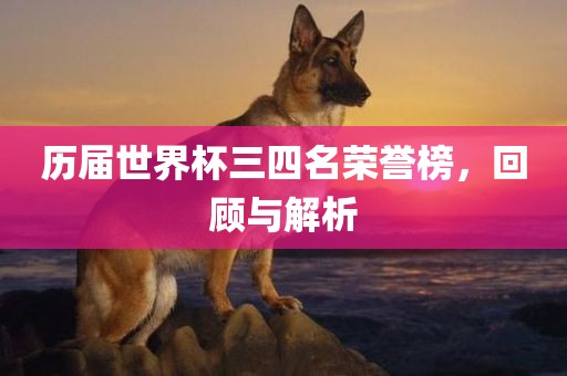 历届世界杯三四名荣誉榜，回顾与解析丹东日丰电子有限公司