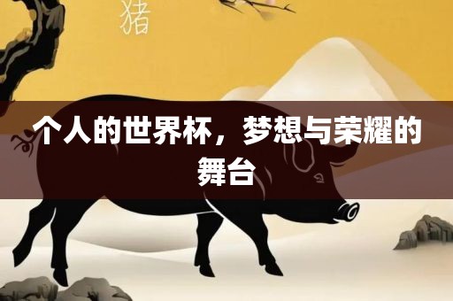 个人的世界杯，梦想与荣耀的舞台丹东日丰电子有限公司