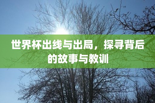 世界杯出线与出局，探寻背后的故事与丹东日丰电子有限公司教训