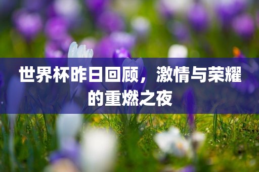 世界杯 第10页