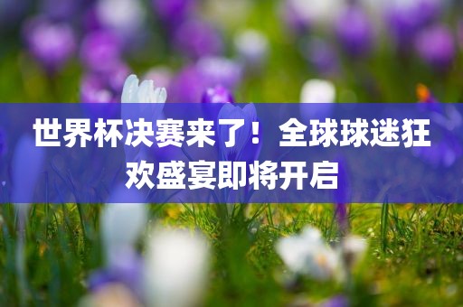世界杯决赛来了！全球球迷狂欢盛宴即将开启
