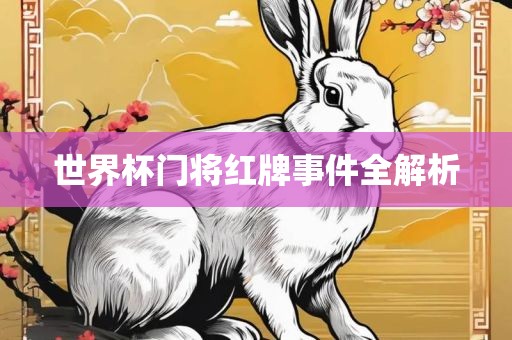 世界杯门将红牌事件全解析