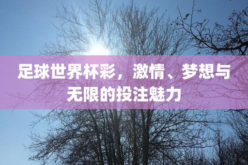足球世界杯彩，激情、梦想与无限的投注魅力丹东日丰电子有限公司