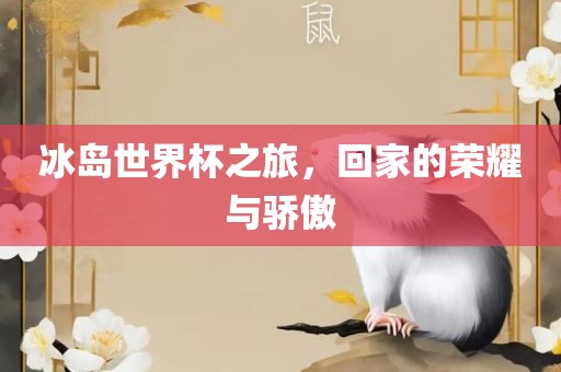 冰岛世界杯之旅，回家的荣耀与骄傲丹东日丰电子有限公司