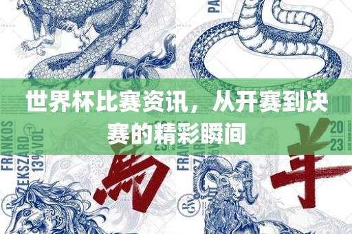 世界杯比赛资讯，从开赛到决赛的精彩瞬间丹东日丰电子有限公司