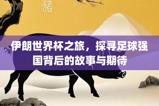 伊朗世界杯之旅，探寻足球强国背后的故事与期待丹东日丰电子有限公司