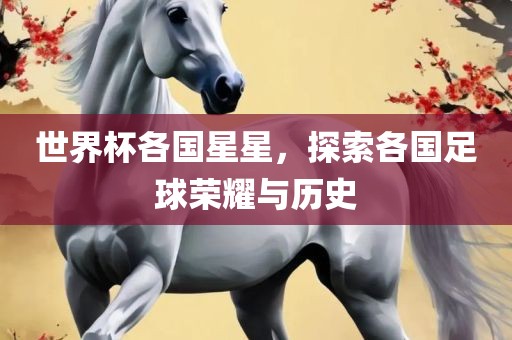 世界杯各国星星，探索各国足球荣耀与历史丹东日丰电子有限公司