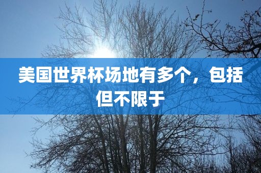 美国世界杯场地有多个，包括但不限于丹东日丰电子有限公司