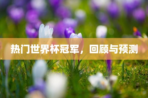 热门世界杯冠军，回顾与预测丹东日丰电子有限公司