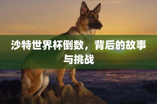 沙特世界杯倒数，背后的故事与挑战丹东日丰电子有限公司