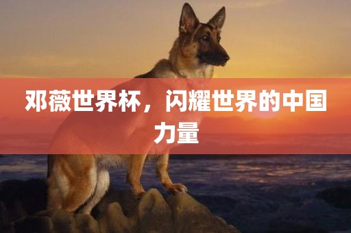 邓薇世界杯，闪耀世界的中国力量丹东日丰电子有限公司