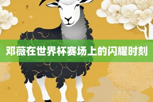 邓薇在世界杯赛场上的闪耀时刻丹东日丰电子有限公司