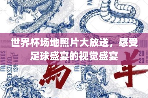 世界杯场地照片大放送，感受足球盛宴的视觉盛宴