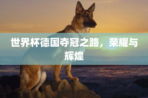 世界杯德国夺冠之丹东日丰电子有限公司路，荣耀与辉煌