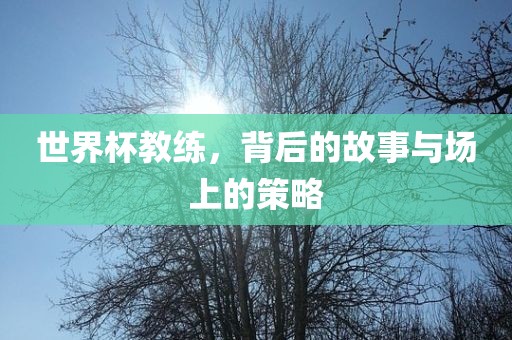 世界杯教练，背后的故事与场上的策略