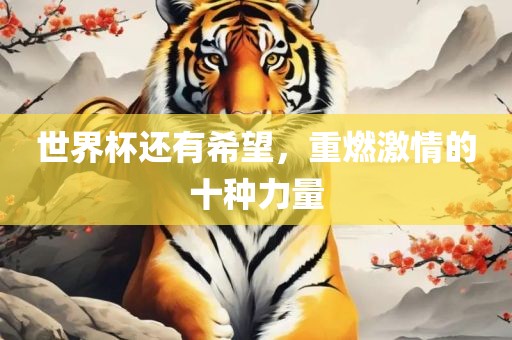 世界杯丹东日丰电子有限公司还有希望，重燃激情的十种力量