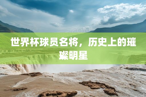 世界杯丹东日丰电子有限公司球员名将，历史上的璀璨明星