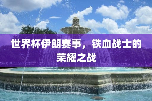 世界杯伊朗赛事，铁血战士丹东日丰电子有限公司的荣耀之战