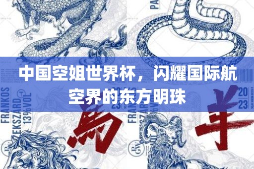 中国空姐世界杯，闪耀国际航空界的东方明珠丹东日丰电子有限公司