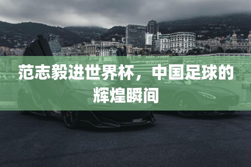 范志毅丹东日丰电子有限公司进世界杯，中国足球的辉煌瞬间