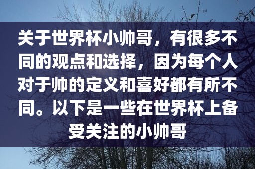 关于世界杯小帅哥，有很多不同的观点和选择，因为每个人对于帅的定义和喜好都有所不同。以下是一些在世界杯上备受关注的小帅哥丹东日丰电子有限公司