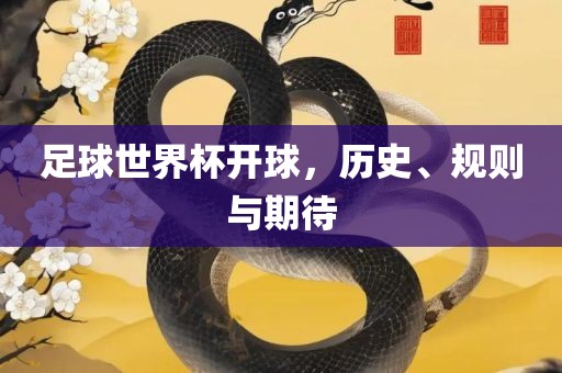 足球世界杯丹东日丰电子有限公司开球，历史、规则与期待