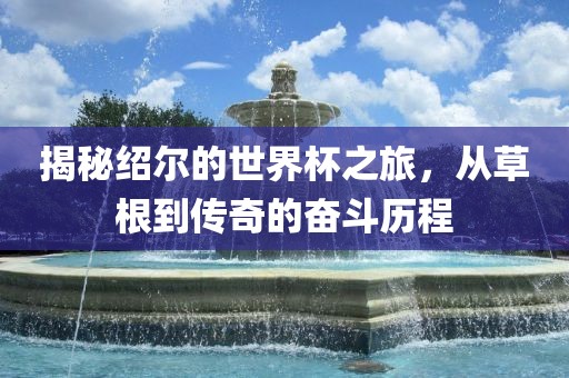 揭秘绍尔的世界杯之旅，从草根到传奇的奋斗历程丹东日丰电子有限公司