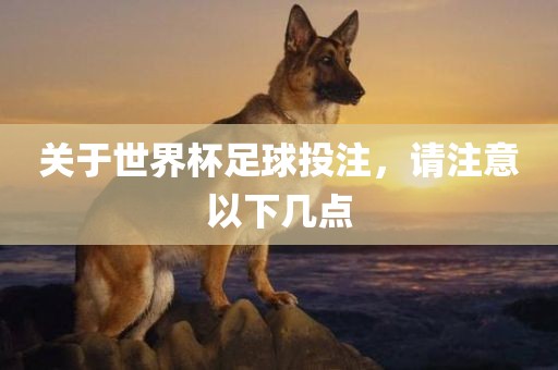 关于世界杯足球投注，请注意以下几点丹东日丰电子有限公司