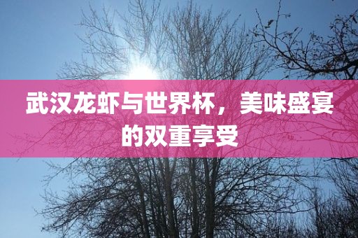 武汉龙虾与世界杯，美味盛宴的双重享受丹东日丰电子有限公司
