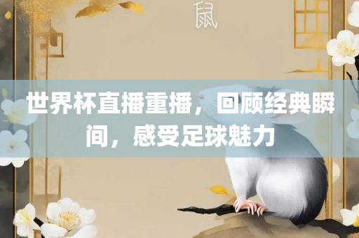 世界杯直播重播，回顾经典瞬间，丹东日丰电子有限公司感受足球魅力