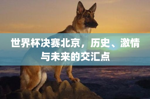 世界杯决赛北京，历史、激情与未来的交汇点
